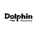 Dolphin Discovery